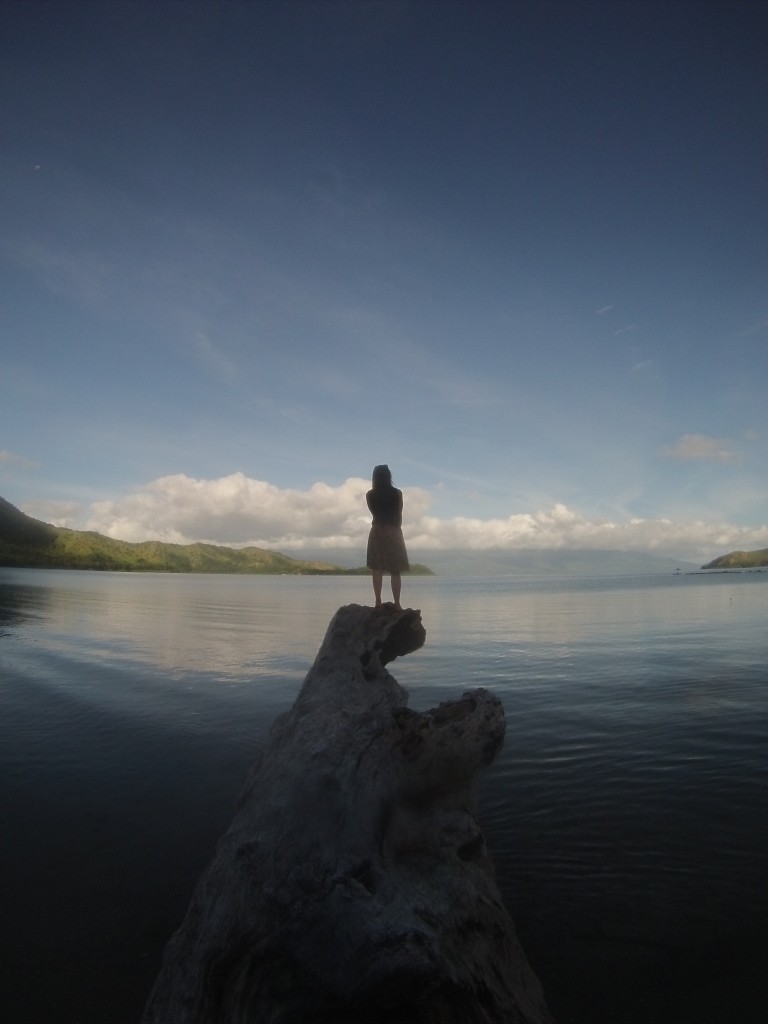 DCIM100GOPRO